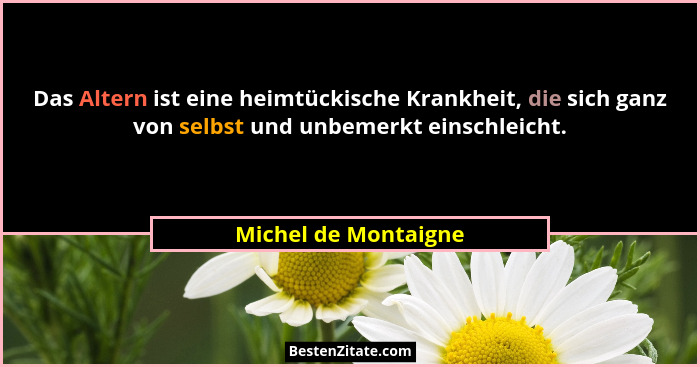 Das Altern ist eine heimtückische Krankheit, die sich ganz von selbst und unbemerkt einschleicht.... - Michel de Montaigne