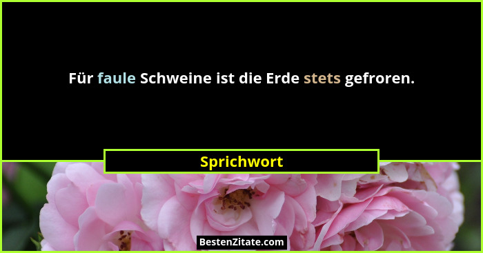 Für faule Schweine ist die Erde stets gefroren.... - Sprichwort