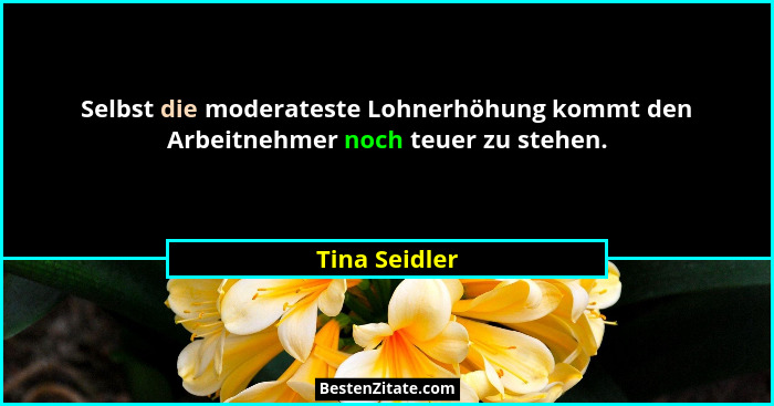 Selbst die moderateste Lohnerhöhung kommt den Arbeitnehmer noch teuer zu stehen.... - Tina Seidler