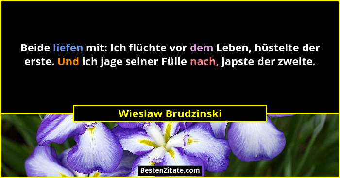 Beide liefen mit: Ich flüchte vor dem Leben, hüstelte der erste. Und ich jage seiner Fülle nach, japste der zweite.... - Wieslaw Brudzinski
