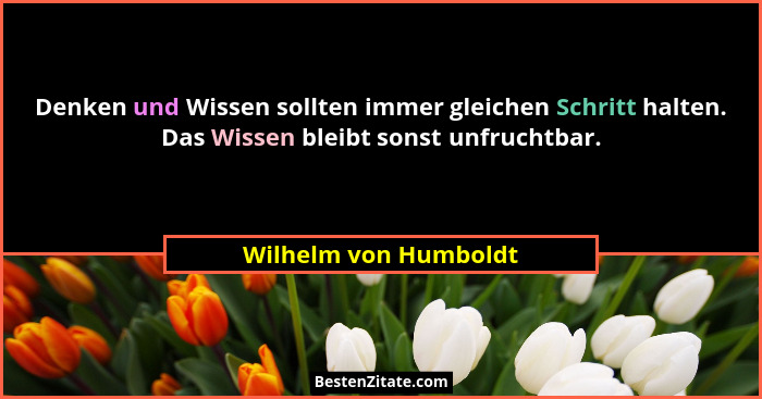 Denken und Wissen sollten immer gleichen Schritt halten. Das Wissen bleibt sonst unfruchtbar.... - Wilhelm von Humboldt