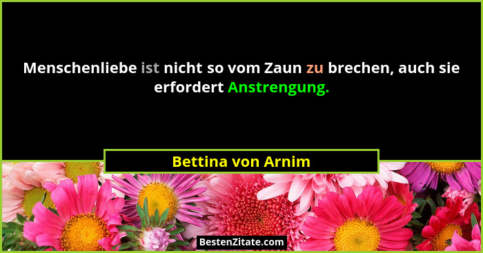 Menschenliebe ist nicht so vom Zaun zu brechen, auch sie erfordert Anstrengung.... - Bettina von Arnim