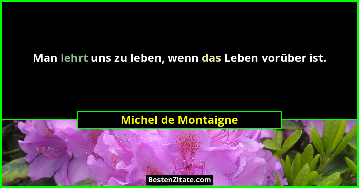 Man lehrt uns zu leben, wenn das Leben vorüber ist.... - Michel de Montaigne