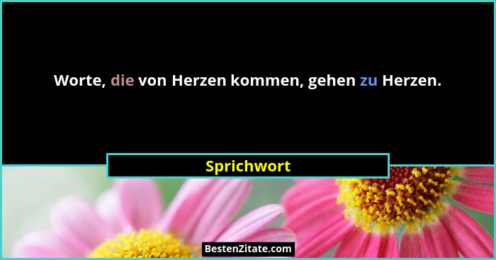 Worte, die von Herzen kommen, gehen zu Herzen.... - Sprichwort