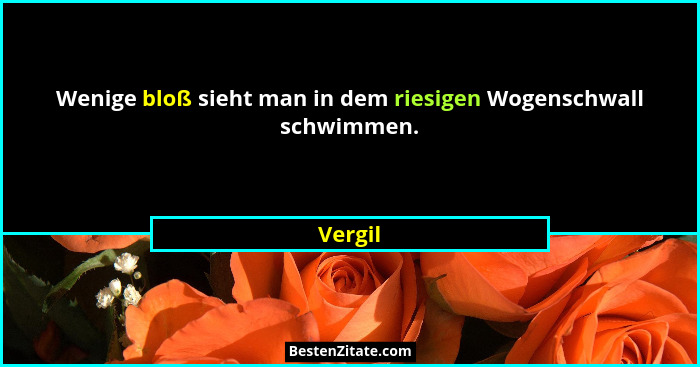 Wenige bloß sieht man in dem riesigen Wogenschwall schwimmen.... - Vergil