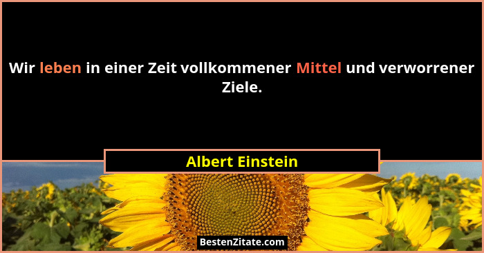 Wir leben in einer Zeit vollkommener Mittel und verworrener Ziele.... - Albert Einstein