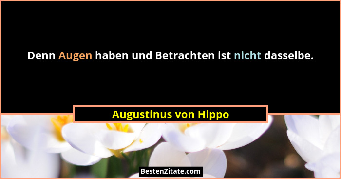 Denn Augen haben und Betrachten ist nicht dasselbe.... - Augustinus von Hippo