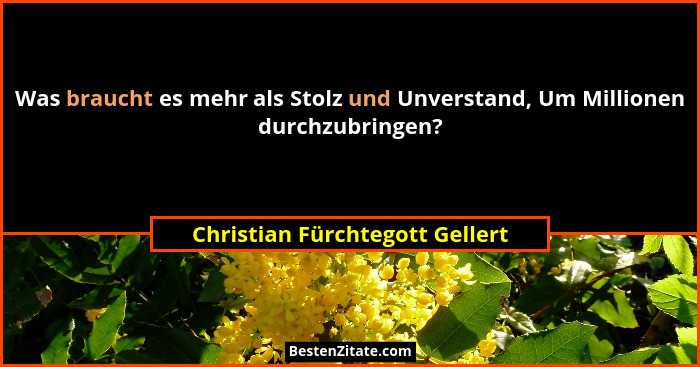 Was braucht es mehr als Stolz und Unverstand, Um Millionen durchzubringen?... - Christian Fürchtegott Gellert