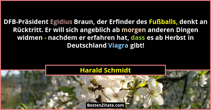 DFB-Präsident Egidius Braun, der Erfinder des Fußballs, denkt an Rücktritt. Er will sich angeblich ab morgen anderen Dingen widmen -... - Harald Schmidt