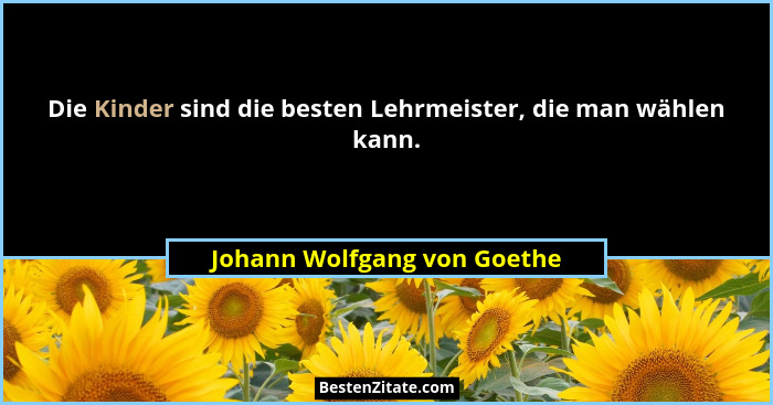 Die Kinder sind die besten Lehrmeister, die man wählen kann.... - Johann Wolfgang von Goethe