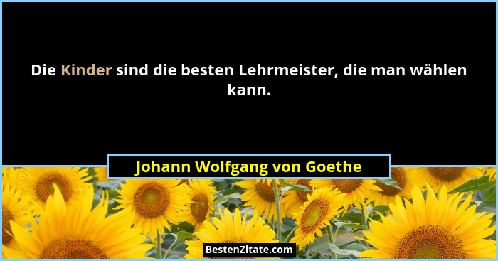 Die Kinder sind die besten Lehrmeister, die man wählen kann.... - Johann Wolfgang von Goethe