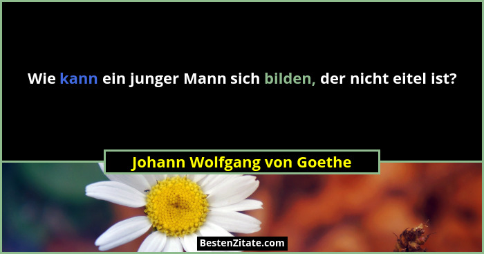 Wie kann ein junger Mann sich bilden, der nicht eitel ist?... - Johann Wolfgang von Goethe