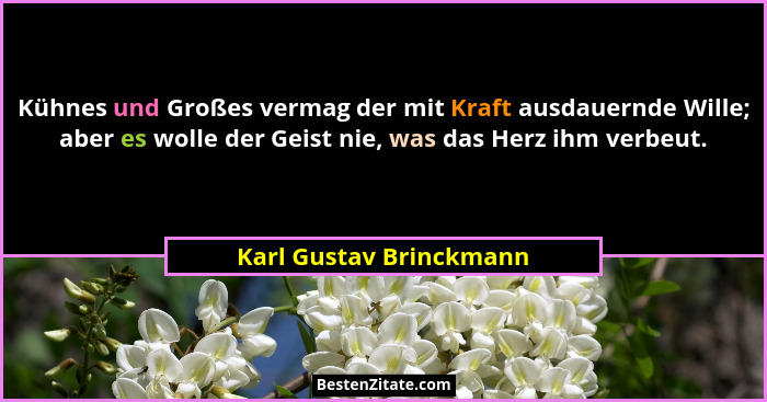 Kühnes und Großes vermag der mit Kraft ausdauernde Wille; aber es wolle der Geist nie, was das Herz ihm verbeut.... - Karl Gustav Brinckmann