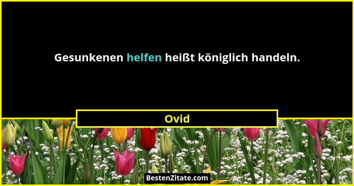 Gesunkenen helfen heißt königlich handeln.... - Ovid