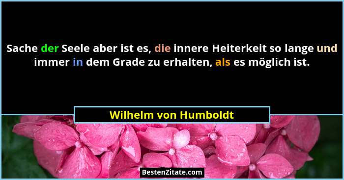 Sache der Seele aber ist es, die innere Heiterkeit so lange und immer in dem Grade zu erhalten, als es möglich ist.... - Wilhelm von Humboldt