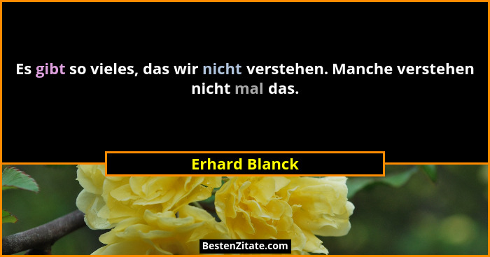 Es gibt so vieles, das wir nicht verstehen. Manche verstehen nicht mal das.... - Erhard Blanck