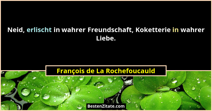Neid, erlischt in wahrer Freundschaft, Koketterie in wahrer Liebe.... - François de La Rochefoucauld