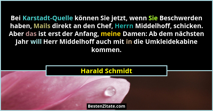 Bei Karstadt-Quelle können Sie jetzt, wenn Sie Beschwerden haben, Mails direkt an den Chef, Herrn Middelhoff, schicken. Aber das ist... - Harald Schmidt