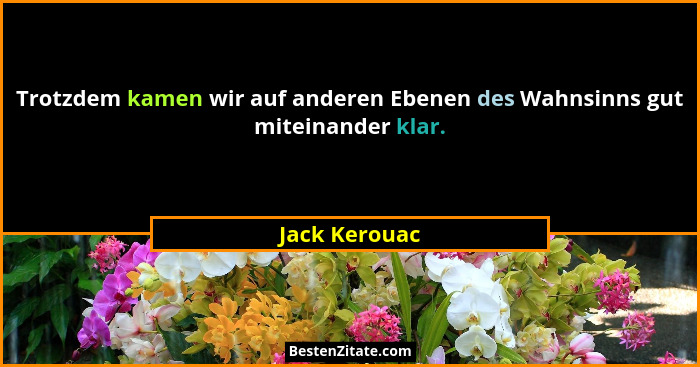 Trotzdem kamen wir auf anderen Ebenen des Wahnsinns gut miteinander klar.... - Jack Kerouac