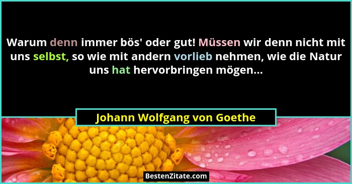 Warum denn immer bös' oder gut! Müssen wir denn nicht mit uns selbst, so wie mit andern vorlieb nehmen, wie die Natur... - Johann Wolfgang von Goethe