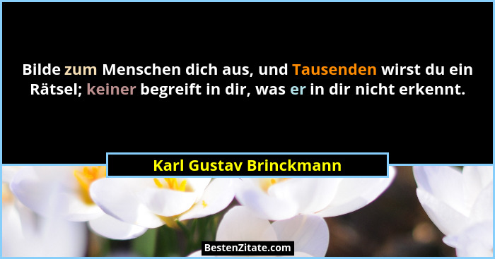 Bilde zum Menschen dich aus, und Tausenden wirst du ein Rätsel; keiner begreift in dir, was er in dir nicht erkennt.... - Karl Gustav Brinckmann