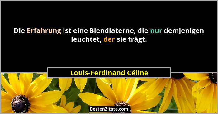 Die Erfahrung ist eine Blendlaterne, die nur demjenigen leuchtet, der sie trägt.... - Louis-Ferdinand Céline