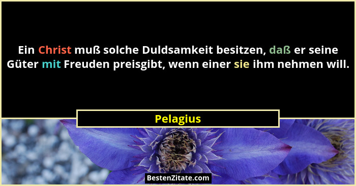 Ein Christ muß solche Duldsamkeit besitzen, daß er seine Güter mit Freuden preisgibt, wenn einer sie ihm nehmen will.... - Pelagius