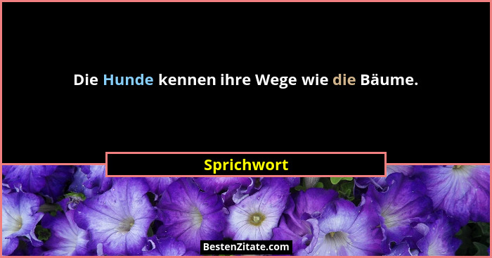 Die Hunde kennen ihre Wege wie die Bäume.... - Sprichwort