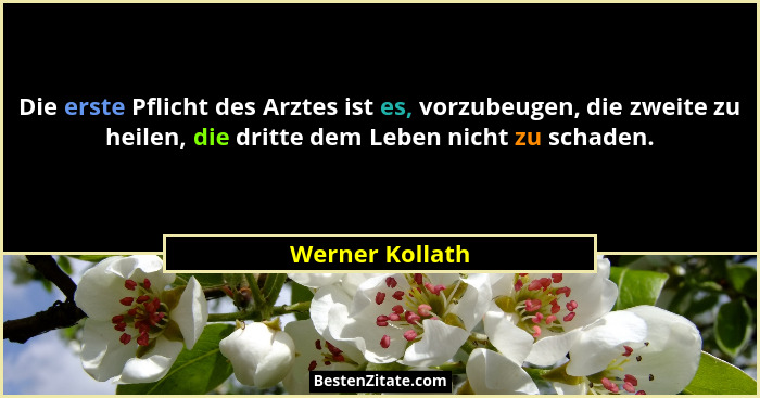 Die erste Pflicht des Arztes ist es, vorzubeugen, die zweite zu heilen, die dritte dem Leben nicht zu schaden.... - Werner Kollath