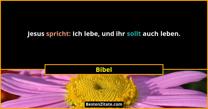 Jesus spricht: Ich lebe, und ihr sollt auch leben.... - Bibel