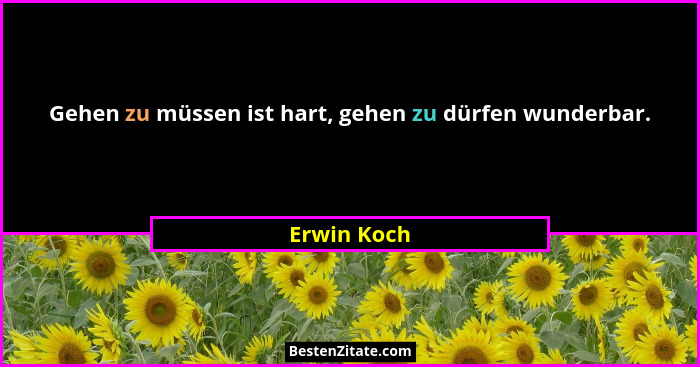 Gehen zu müssen ist hart, gehen zu dürfen wunderbar.... - Erwin Koch