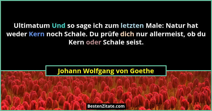 Ultimatum Und so sage ich zum letzten Male: Natur hat weder Kern noch Schale. Du prüfe dich nur allermeist, ob du Kern od... - Johann Wolfgang von Goethe