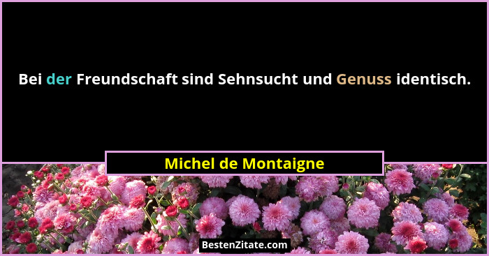 Bei der Freundschaft sind Sehnsucht und Genuss identisch.... - Michel de Montaigne