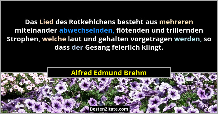 Das Lied des Rotkehlchens besteht aus mehreren miteinander abwechselnden, flötenden und trillernden Strophen, welche laut und ge... - Alfred Edmund Brehm