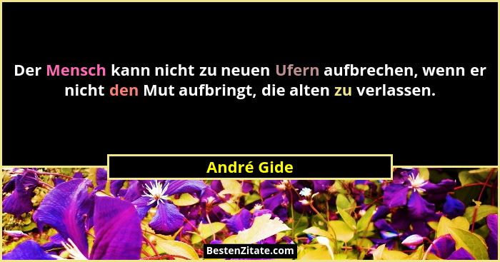 Der Mensch kann nicht zu neuen Ufern aufbrechen, wenn er nicht den Mut aufbringt, die alten zu verlassen.... - André Gide