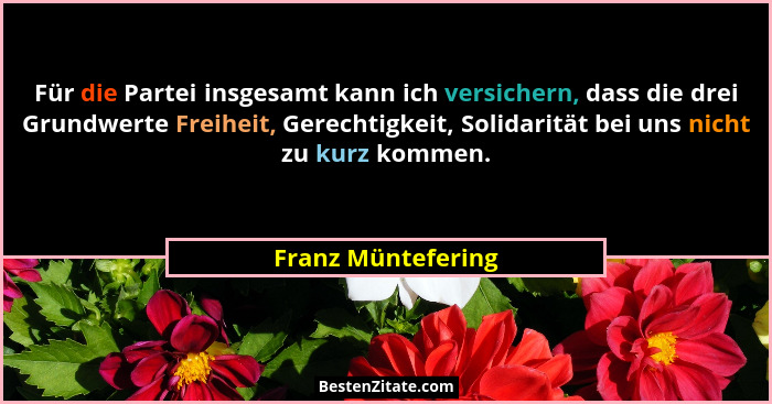 Für die Partei insgesamt kann ich versichern, dass die drei Grundwerte Freiheit, Gerechtigkeit, Solidarität bei uns nicht zu kurz... - Franz Müntefering