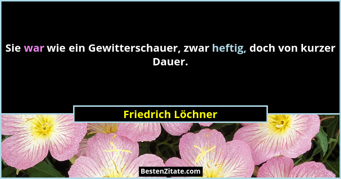 Sie war wie ein Gewitterschauer, zwar heftig, doch von kurzer Dauer.... - Friedrich Löchner