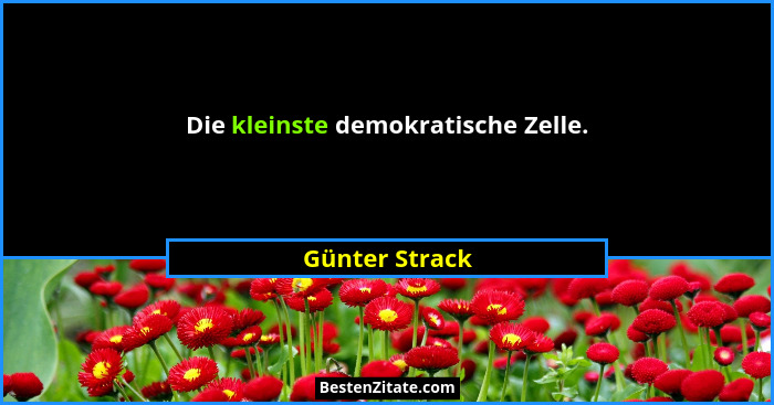 Die kleinste demokratische Zelle.... - Günter Strack