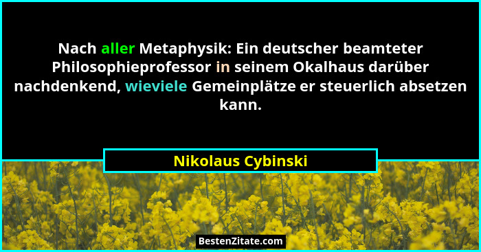 Nach aller Metaphysik: Ein deutscher beamteter Philosophieprofessor in seinem Okalhaus darüber nachdenkend, wieviele Gemeinplätze... - Nikolaus Cybinski