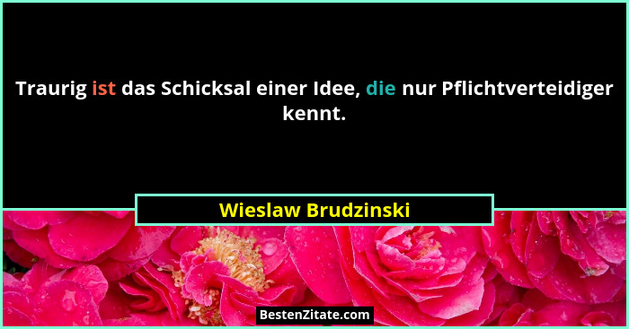 Traurig ist das Schicksal einer Idee, die nur Pflichtverteidiger kennt.... - Wieslaw Brudzinski