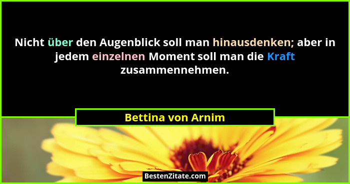 Nicht über den Augenblick soll man hinausdenken; aber in jedem einzelnen Moment soll man die Kraft zusammennehmen.... - Bettina von Arnim