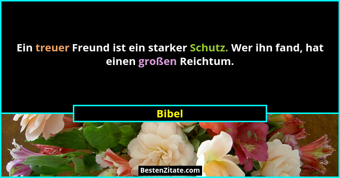 Ein treuer Freund ist ein starker Schutz. Wer ihn fand, hat einen großen Reichtum.... - Bibel