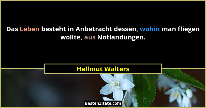 Das Leben besteht in Anbetracht dessen, wohin man fliegen wollte, aus Notlandungen.... - Hellmut Walters