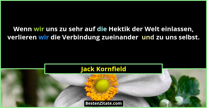 Wenn wir uns zu sehr auf die Hektik der Welt einlassen, verlieren wir die Verbindung zueinander  und zu uns selbst.... - Jack Kornfield