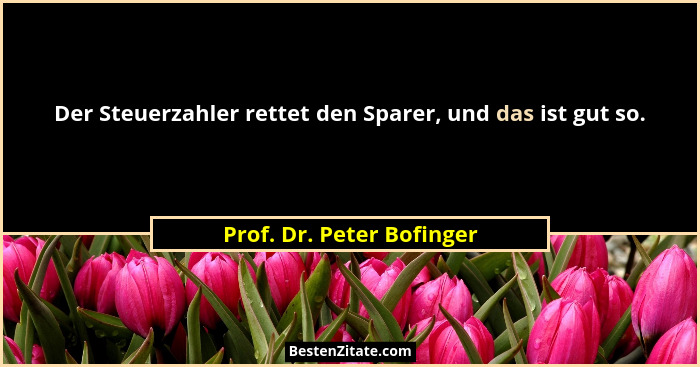 Der Steuerzahler rettet den Sparer, und das ist gut so.... - Prof. Dr. Peter Bofinger