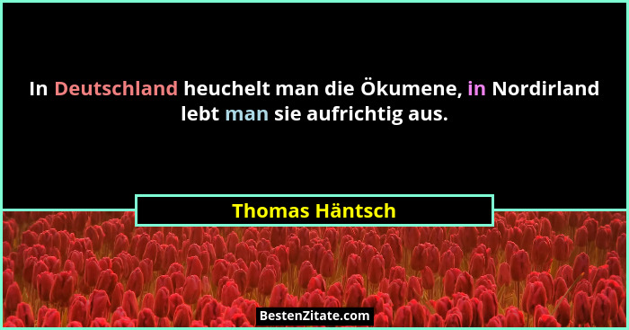 In Deutschland heuchelt man die Ökumene, in Nordirland lebt man sie aufrichtig aus.... - Thomas Häntsch