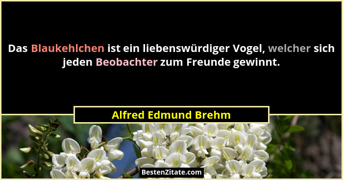 Das Blaukehlchen ist ein liebenswürdiger Vogel, welcher sich jeden Beobachter zum Freunde gewinnt.... - Alfred Edmund Brehm