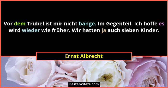 Vor dem Trubel ist mir nicht bange. Im Gegenteil. Ich hoffe es wird wieder wie früher. Wir hatten ja auch sieben Kinder.... - Ernst Albrecht