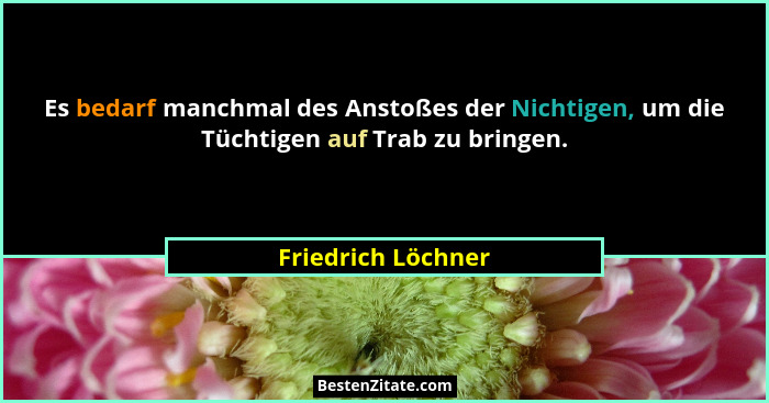 Es bedarf manchmal des Anstoßes der Nichtigen, um die Tüchtigen auf Trab zu bringen.... - Friedrich Löchner