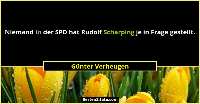 Niemand in der SPD hat Rudolf Scharping je in Frage gestellt.... - Günter Verheugen